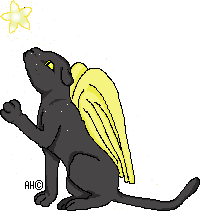 Stardust the panther pet