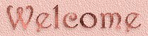 Welcome.